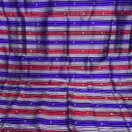 Double Aanchaal Berhampuri Silk Saree with Blouse Piece