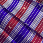 Double Aanchaal Berhampuri Silk Saree with Blouse Piece