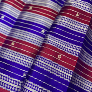 Double Aanchaal Berhampuri Silk Saree with Blouse Piece