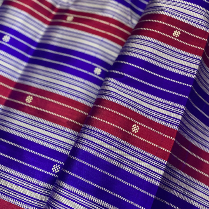 Double Aanchaal Berhampuri Silk Saree with Blouse Piece