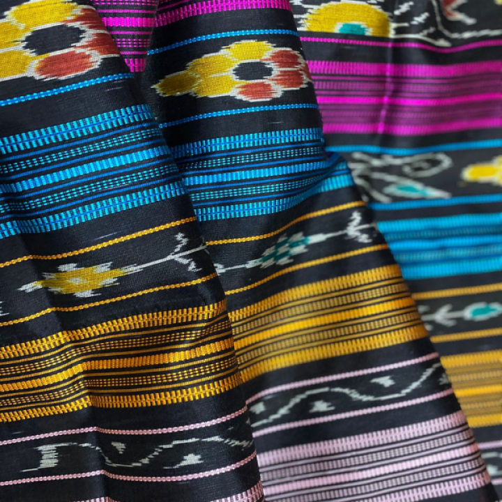 Double Aanchaal Berhampuri Silk Saree with Blouse Piece