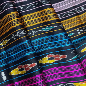 Double Aanchaal Berhampuri Silk Saree with Blouse Piece
